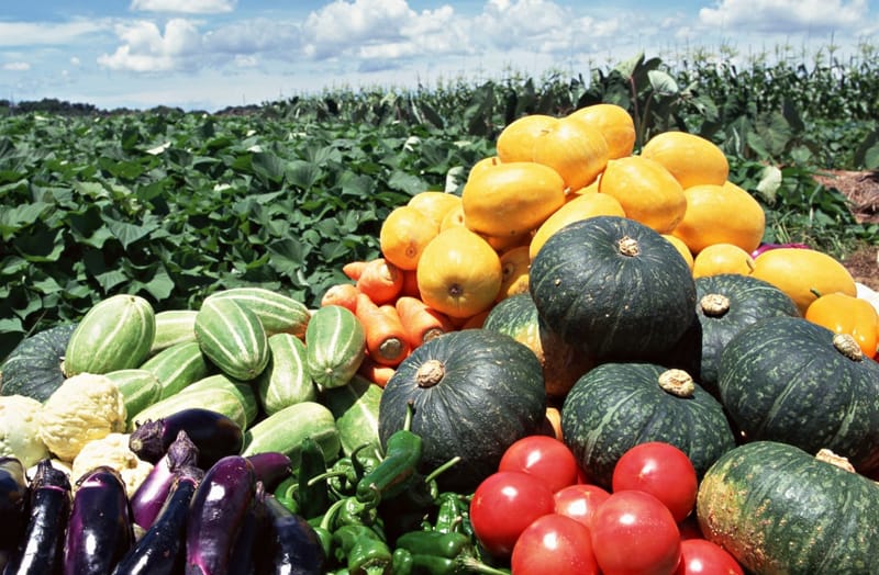 сельскохозяйственные продукты