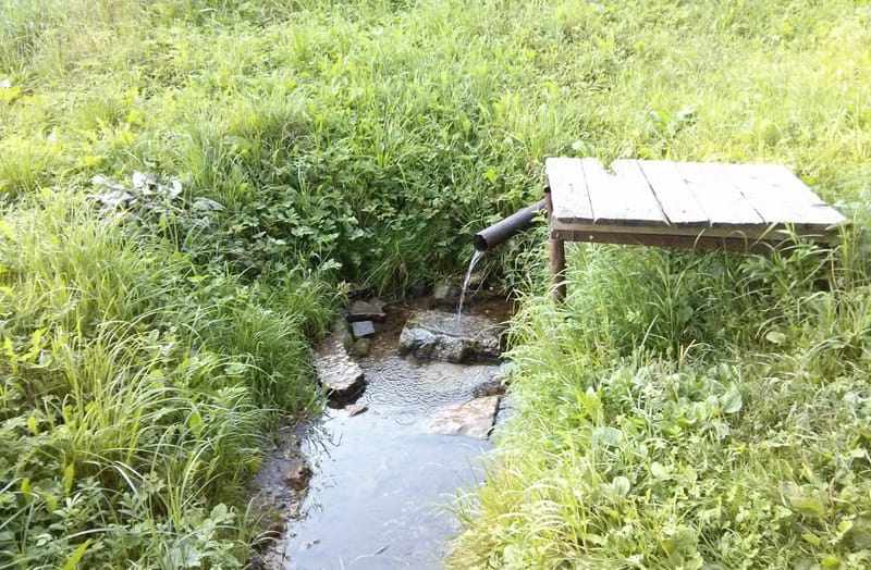 родник
