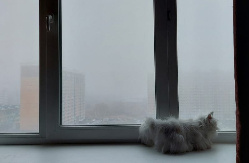 туман