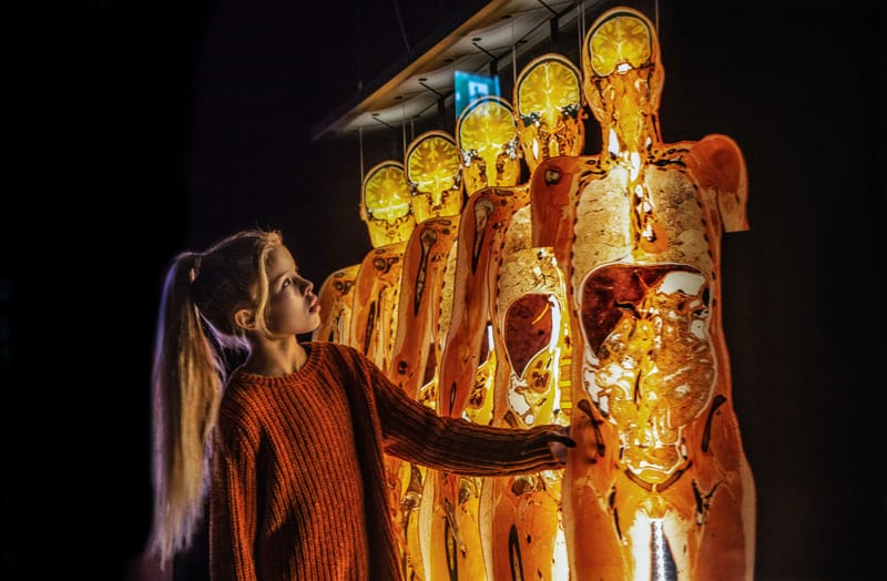 BODY WORLDS