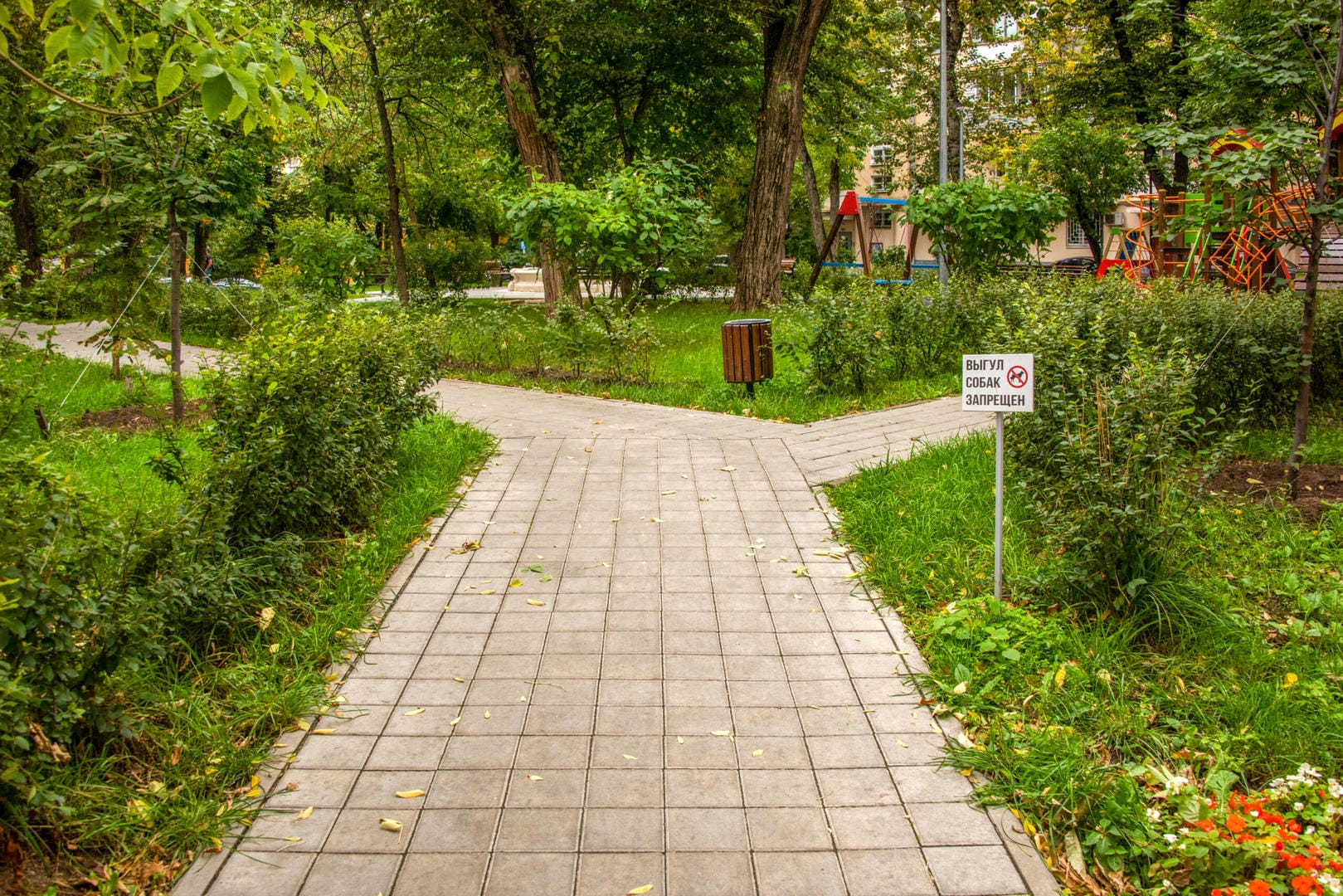 благоустройство, Дорогомилово