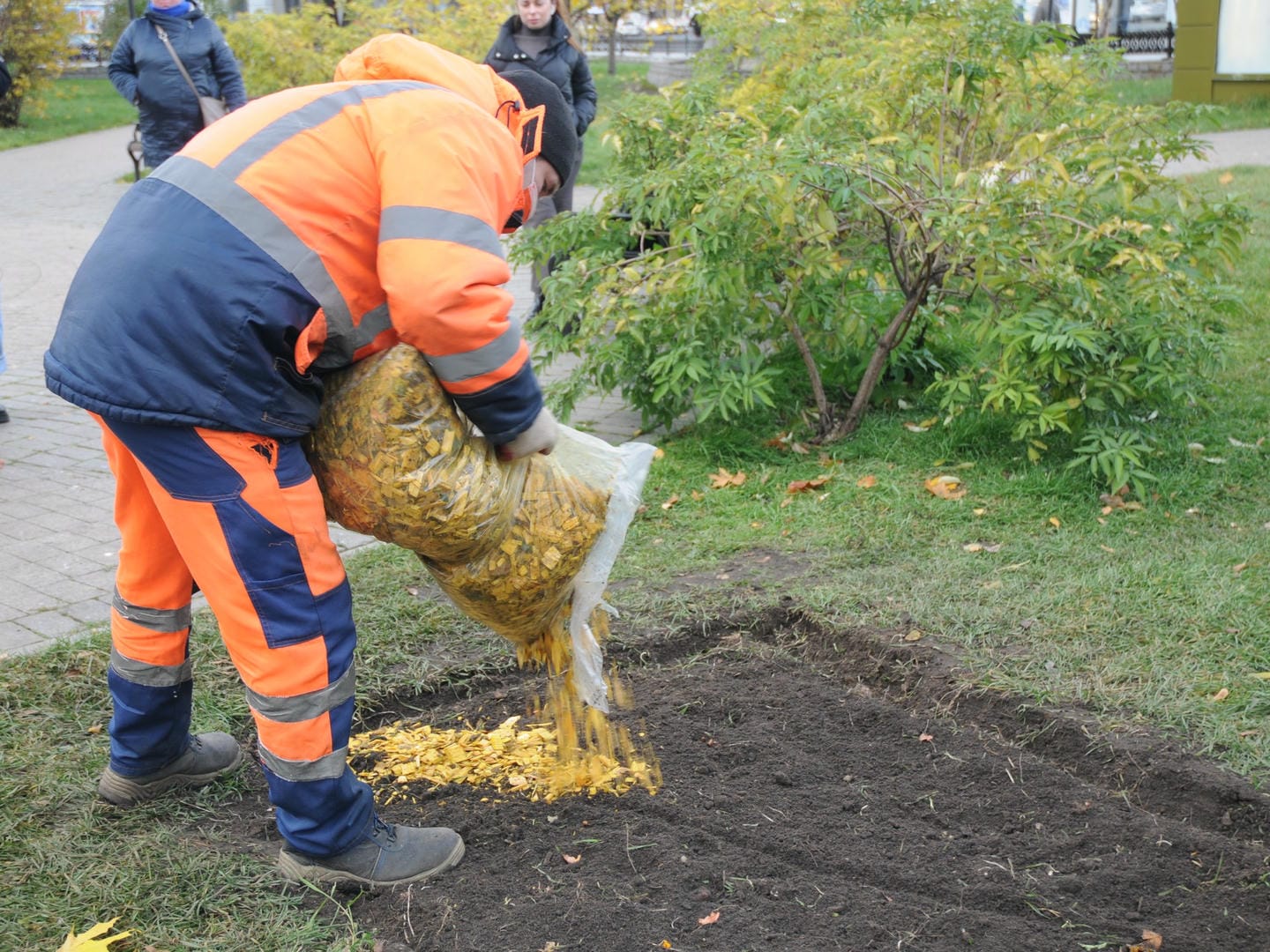 клумба, зима