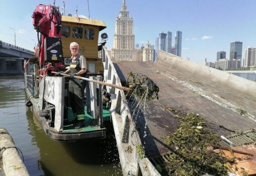 мусор, пруд