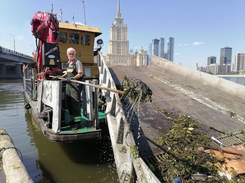 мусор, пруд