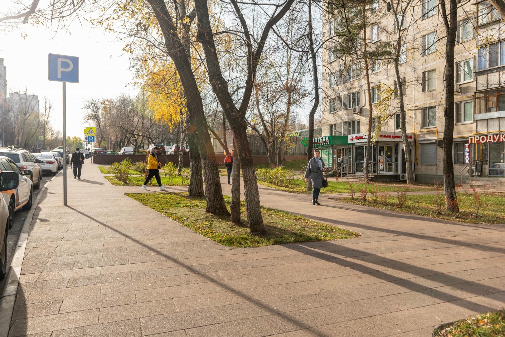 деревья, благоустройство