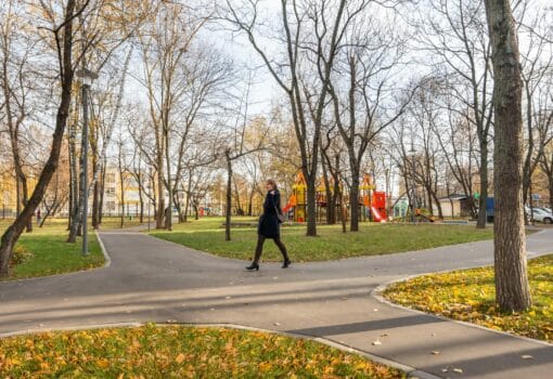 деревья, благоустройство