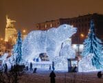 «Полярные медведи»