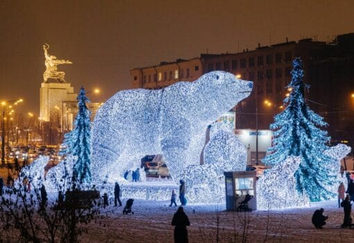 «Полярные медведи»