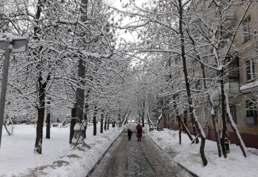 снег, зима. Фото Яны Маевской