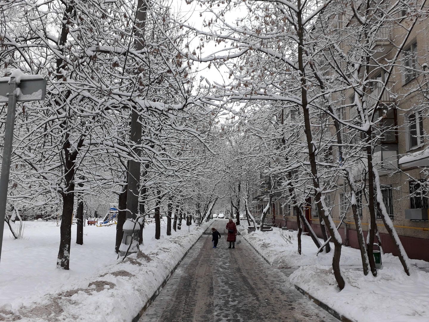 снег, зима. Фото Яны Маевской