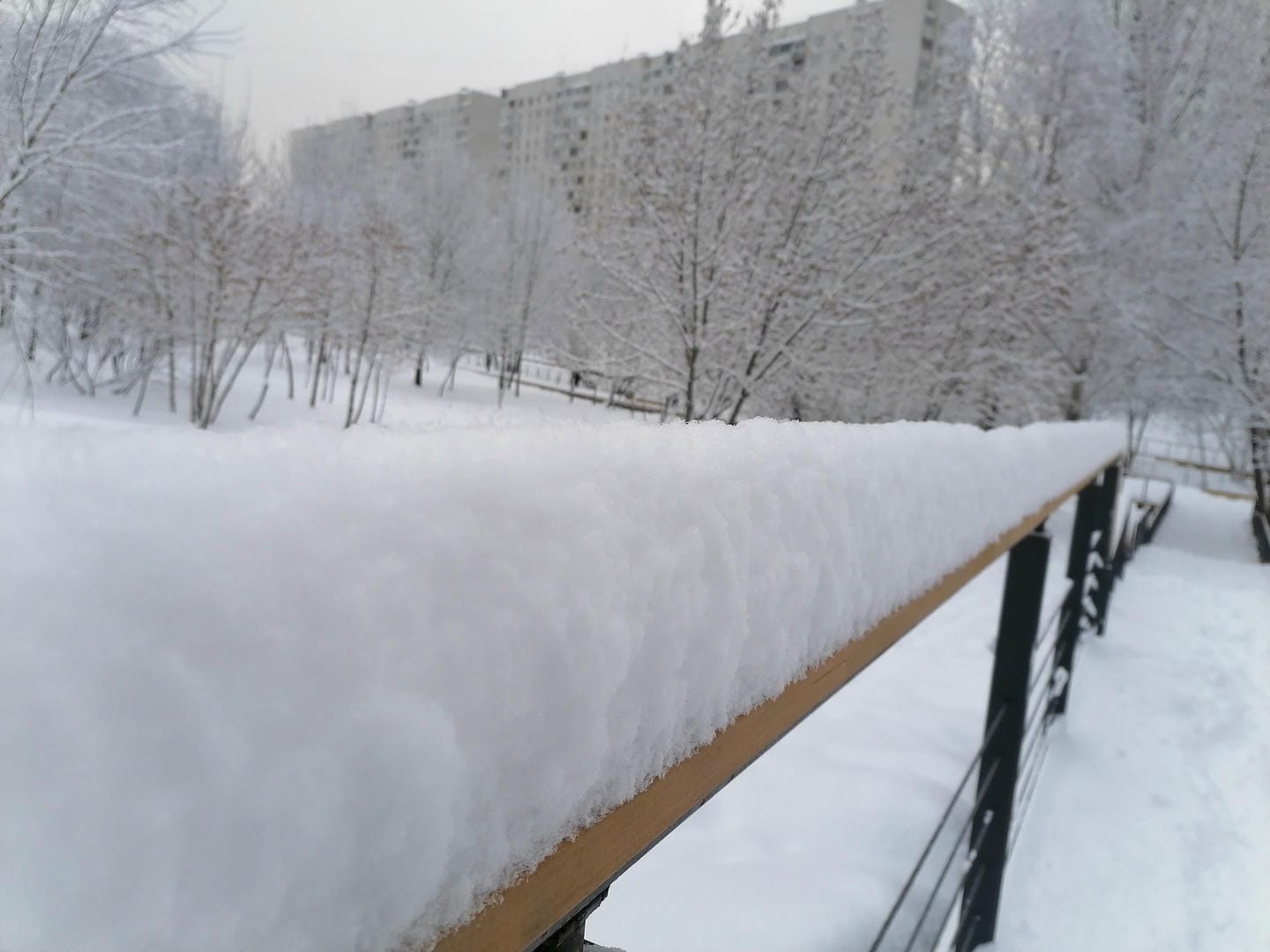 снег, погода, зима. Фото Юлии Смагринской