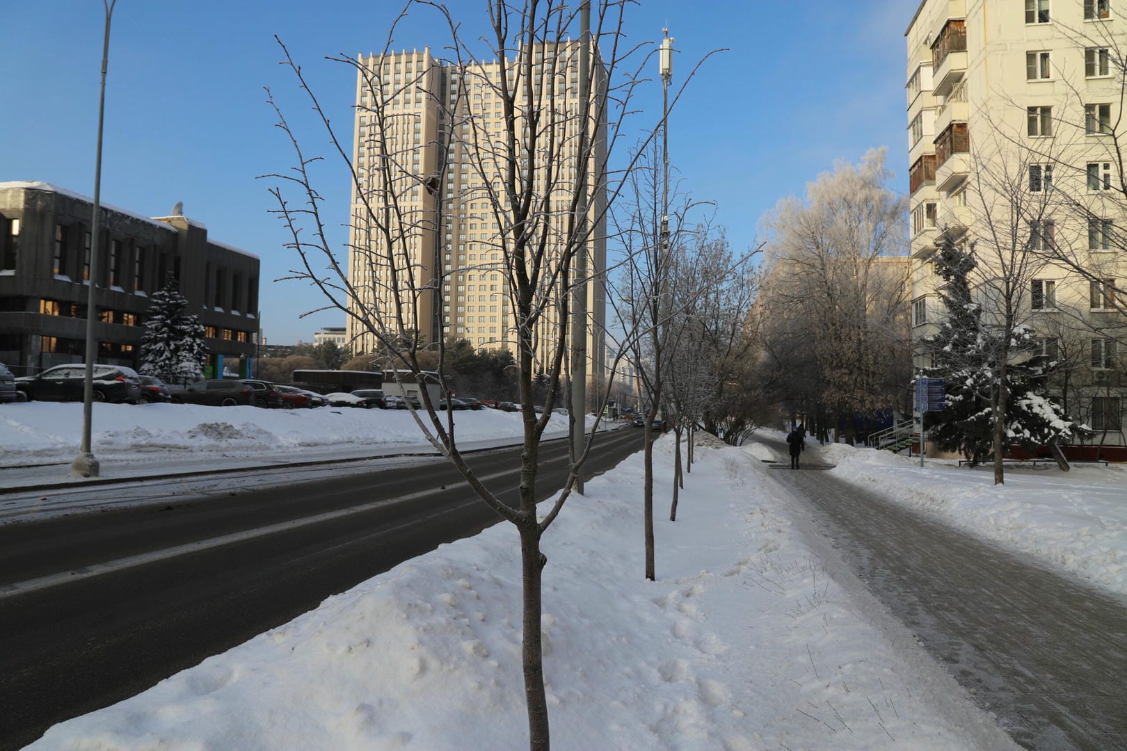 благоустройство, деревья, зима, снег. Фото Юлии Смагринской