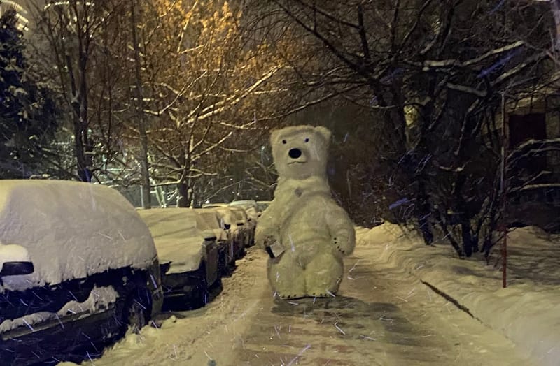 медведь фото mospravda.ru