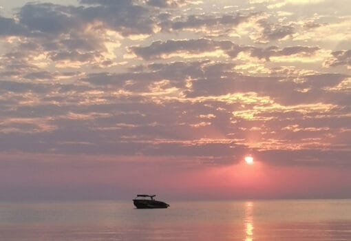 море Смойкиной