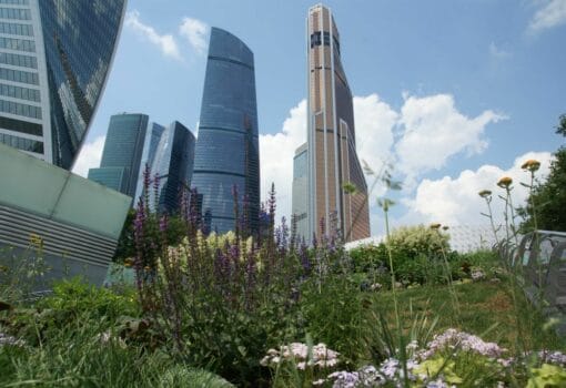 Москва-Сити. Фото Юлии Смагринской