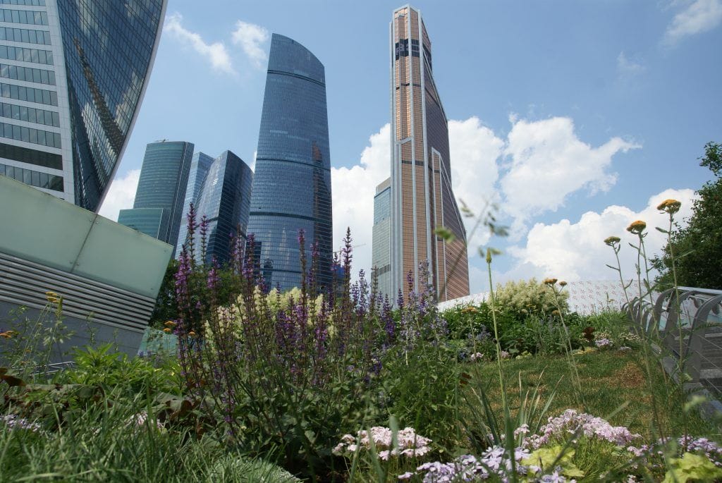 Москва-Сити. Фото Юлии Смагринской