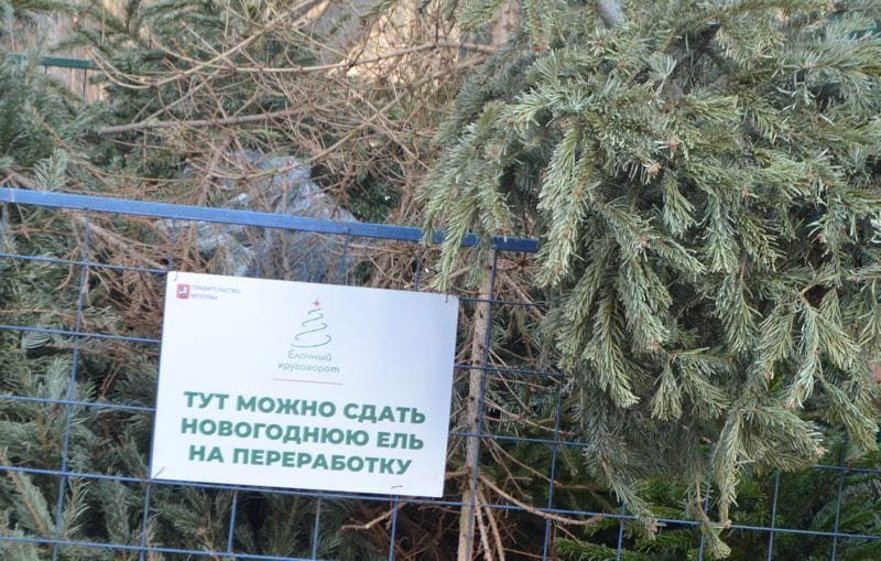 елочный круговорот, елка