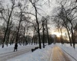 зима, снег, солнце, мороз. Фото Юлии Смагринской