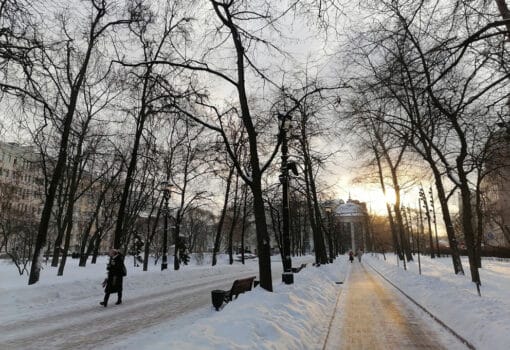 зима, снег, солнце, мороз. Фото Юлии Смагринской