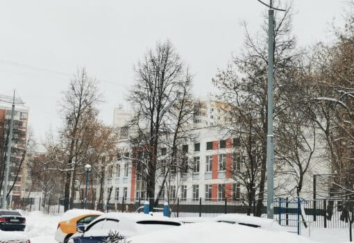 школа образование зима смойкина