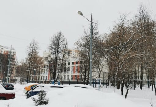 школа образование зима смойкина