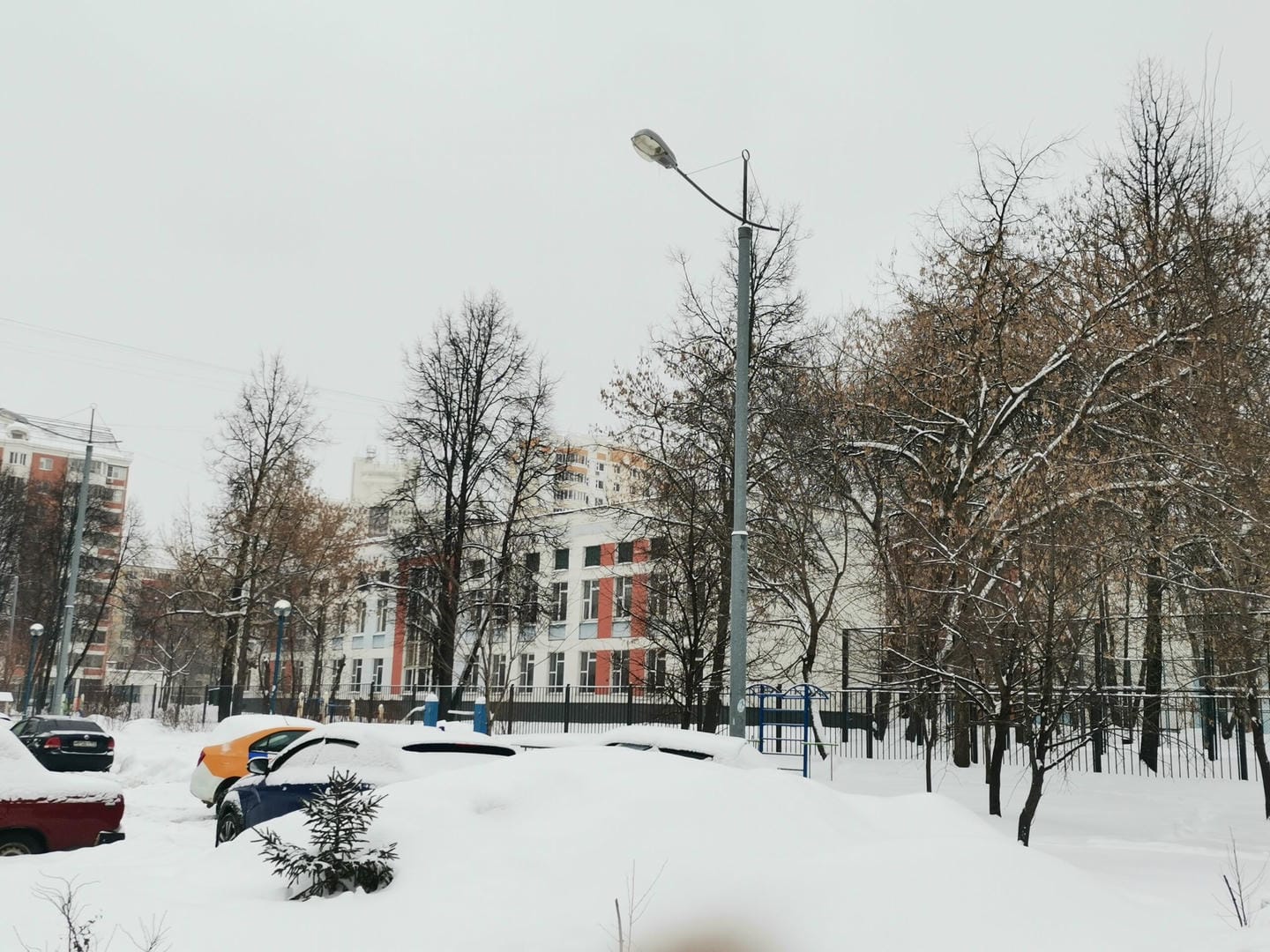 школа образование зима смойкина