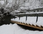 снег, парк, река, утки, погода, зима. Фото Юлии Смагринской