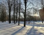 парк, снег, зима, Фото Юлии Смагринской