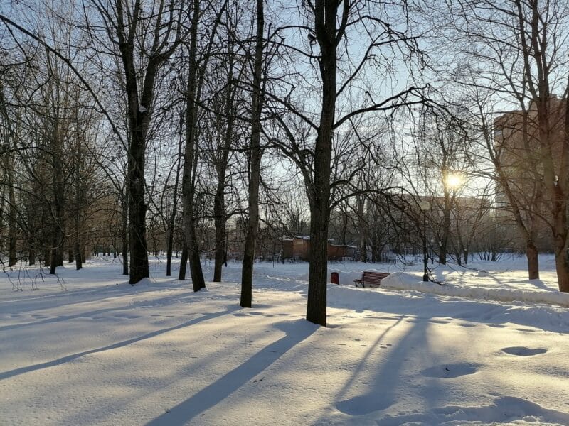 парк, снег, зима, Фото Юлии Смагринской