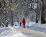 Воронцовский парк, зима, парк, Фото Юлии Смагринской