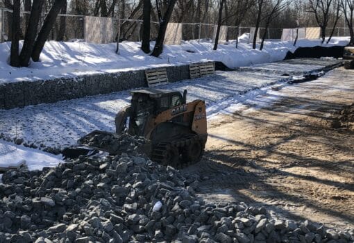 Битцевский лес, Департамент капитального ремонта, Комплекс городского хозяйства Москвы, парки Москвы, Собачий пруд, экология Москвы, фото Мой Дом Москва