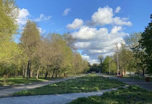 Весна, дорога, озеленение, парк, солнце, погода, фото МП