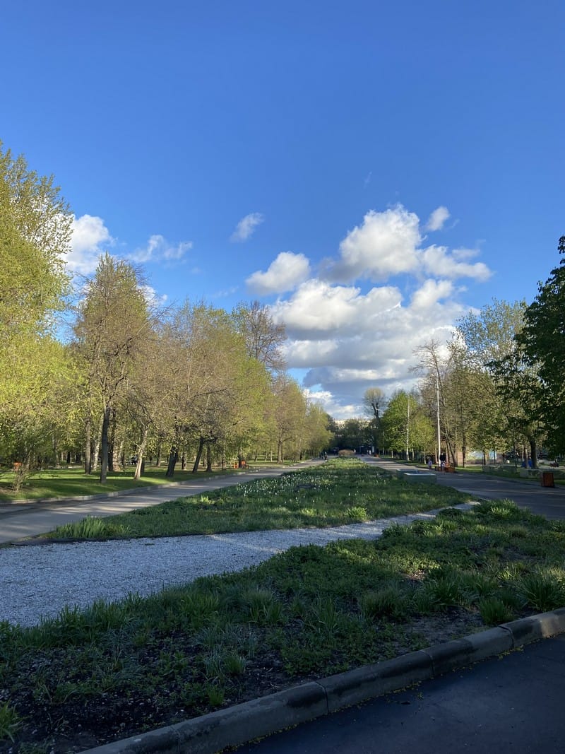 Весна, дорога, озеленение, парк, солнце, погода, фото МП