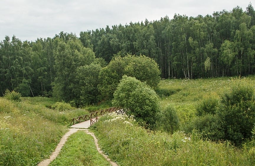 Битцевский лес. Фото с сайта Мосприроды
