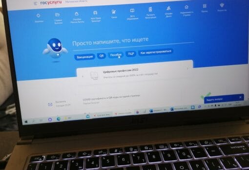 госуслуги Фото "Московской правды"