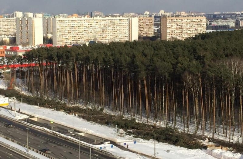 Фото с сайта Наше Бутово