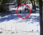 Фото - скриншот из видео телеграм-канала Прокуратуры Москвы