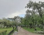 погода в Москве
