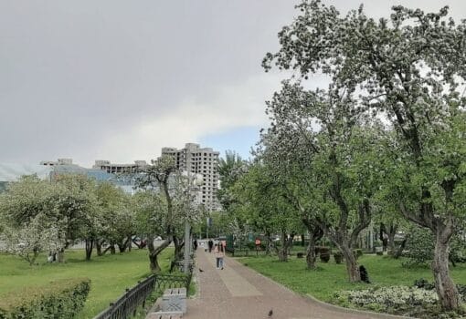 погода в Москве