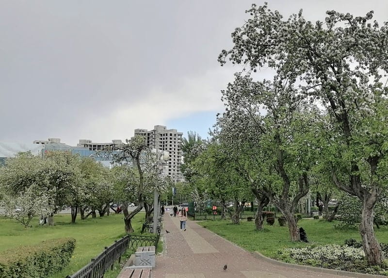погода в Москве