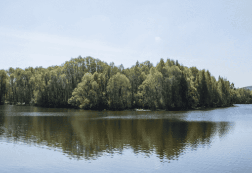 в Серебряном бору