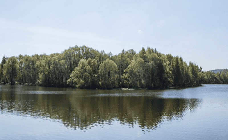 в Серебряном бору