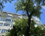 капремонт дома-коммуны, Гоголевский бульвар 8 Дом-коммуна, фото фкр