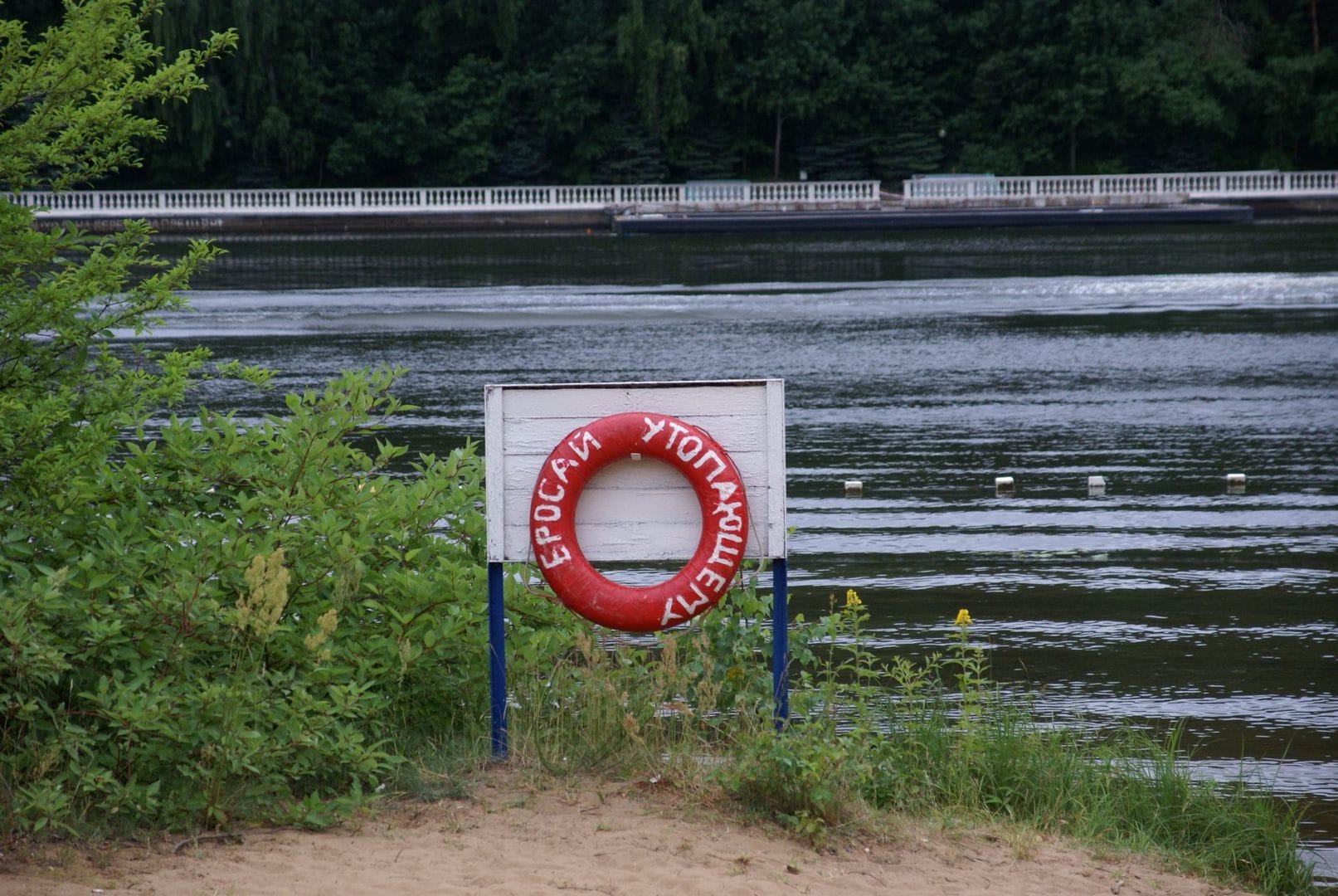 спасательный круг, вода, пляж