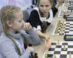 шахматы