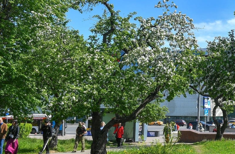 Славянский бульвар, изменятся некоторые маршруты