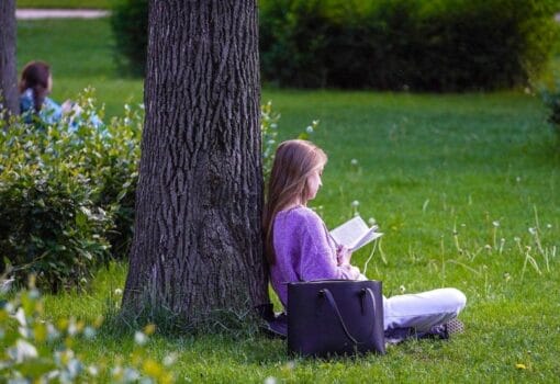книгу, День вспоминания любимых книг