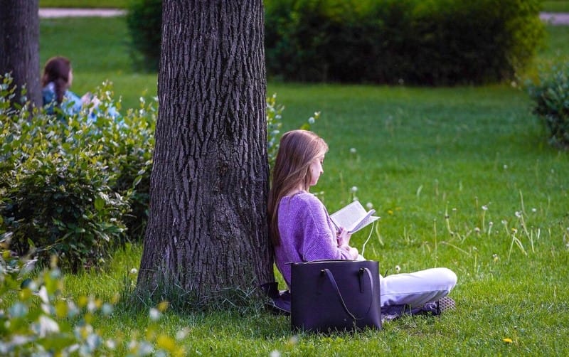 книгу, День вспоминания любимых книг