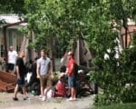 ураган 10 июля, упавшее дерево