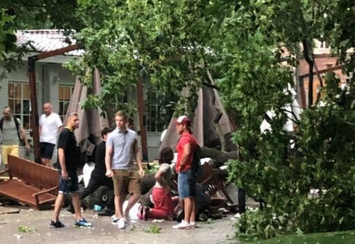 ураган 10 июля, упавшее дерево